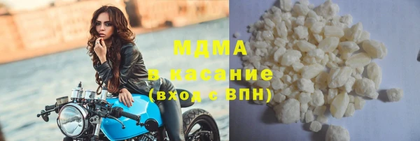 прущие грибы Костерёво