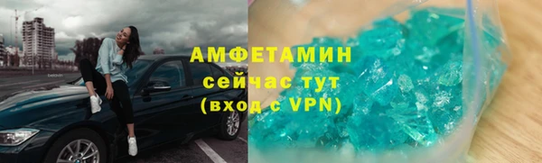 прущие грибы Костерёво