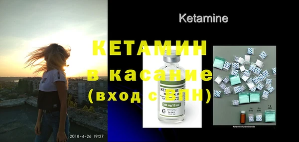 прущие грибы Костерёво