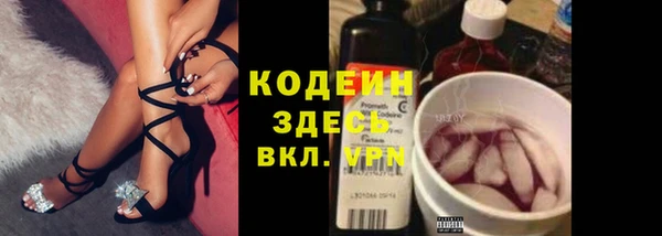 бошки Краснослободск