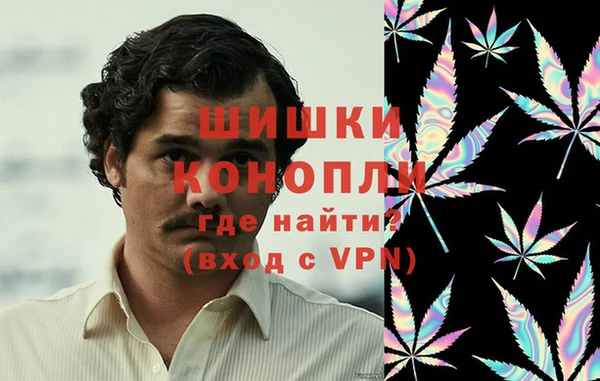 прущие грибы Костерёво