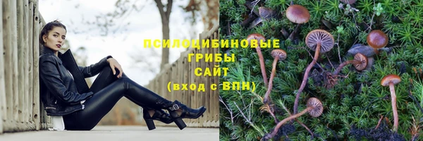 марки lsd Корсаков