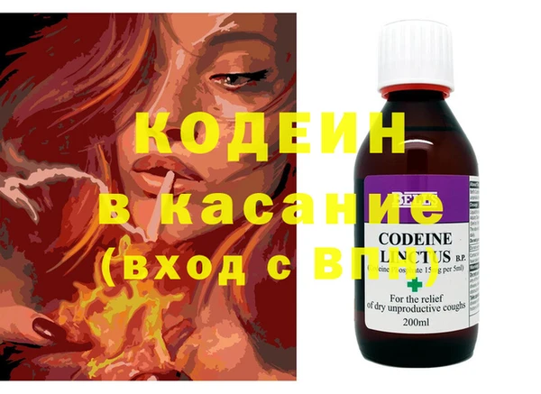 прущие грибы Костерёво