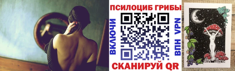 Галлюциногенные грибы Psilocybe  Купить где  Лукоянов 